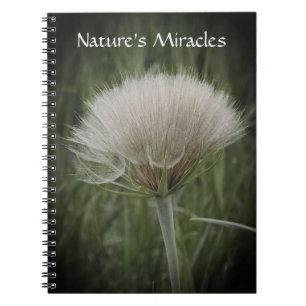 Caderno de Fotos Espiral Dramático