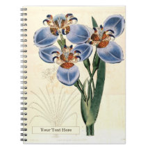 Caderno de Fotos Espiral Trimezia