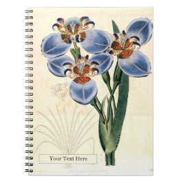 Caderno de Fotos Espiral Trimezia