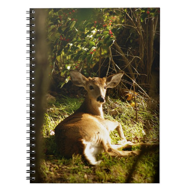 Caderno de Fotos Espiral Young Buck (Frente)