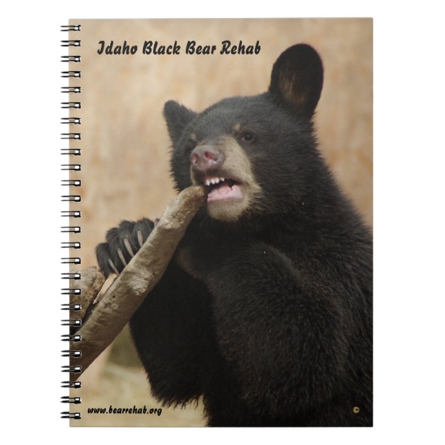 Caderno de Lanikai (Frente)