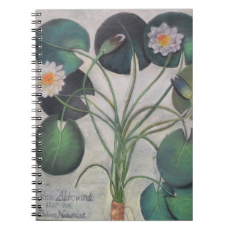 Caderno de Lillies da água