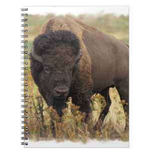 Caderno de madeira do bisonte