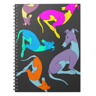 Caderno de Roo