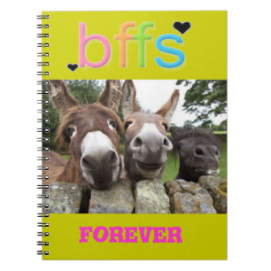 Caderno de sorriso dos asnos de BFF