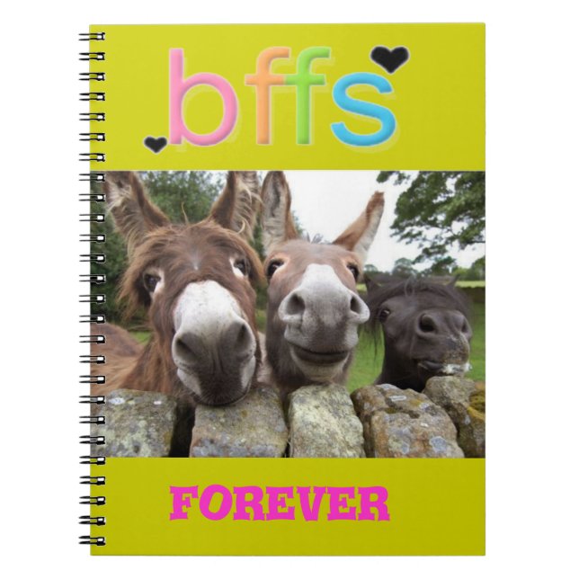 Caderno de sorriso dos asnos de BFF (Frente)