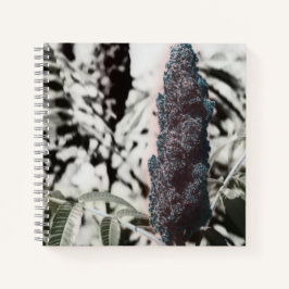 Caderno de Três Espirais