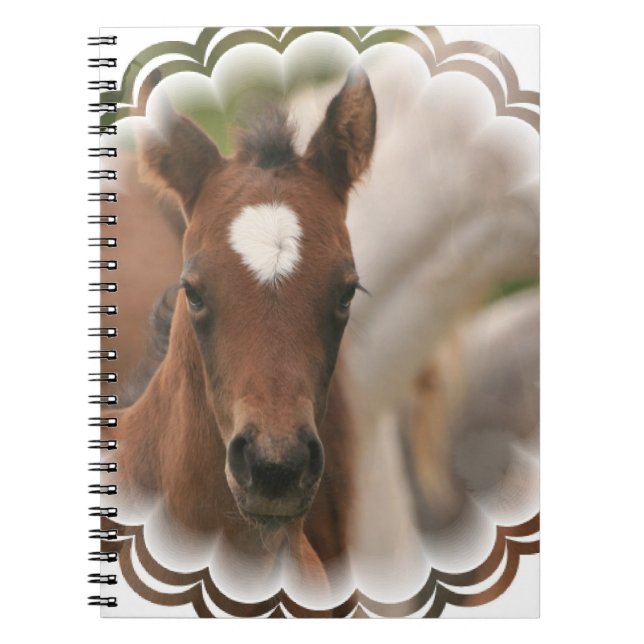 Caderno do bebê do cavalo (Frente)