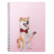 Caderno do Cão com um Laço