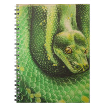 Caderno do cobra