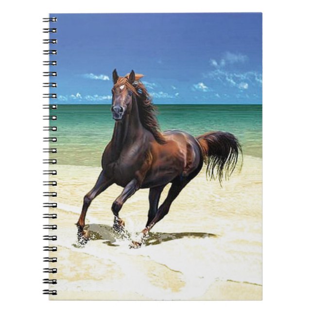 Caderno do garanhão da praia (Frente)
