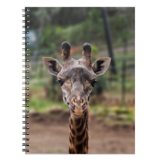 Caderno do girafa (Frente)