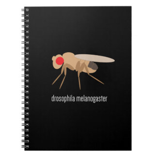 Caderno do laboratório da drosófila