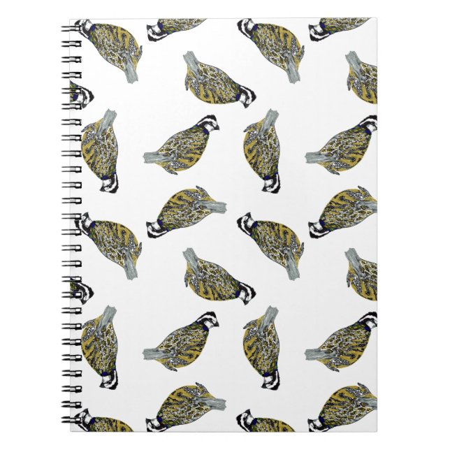 Caderno do lance da codorniz (Frente)