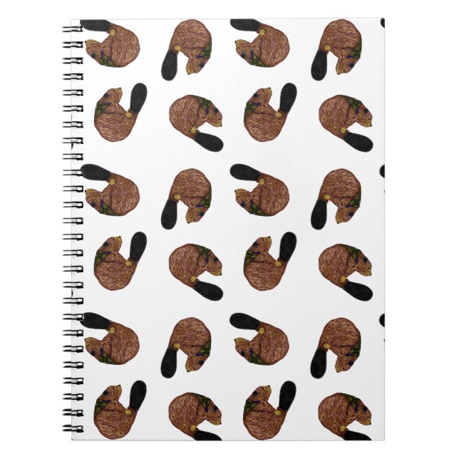 Caderno do lance do castor (Frente)