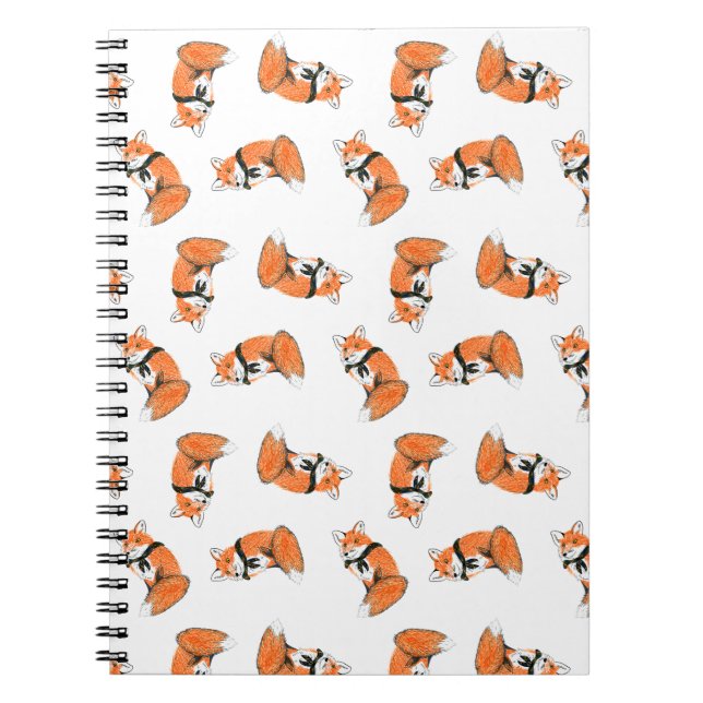 Caderno do lance do Fox (Frente)
