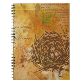 Caderno do ninho