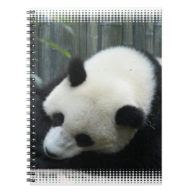 Caderno do urso de panda (Frente)