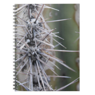 Caderno dos cactos