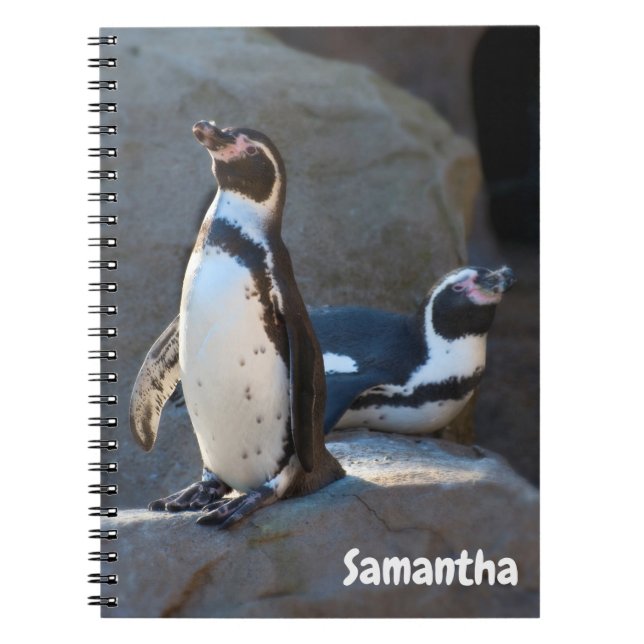 Caderno em espiral de Pinguins de Humboldt (Frente)