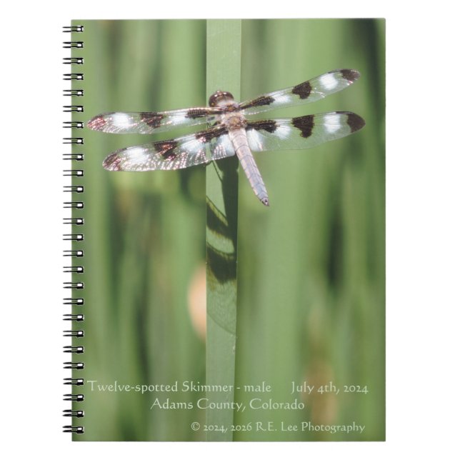 Caderno encadernado em espiral com fotografia de l (Frente)