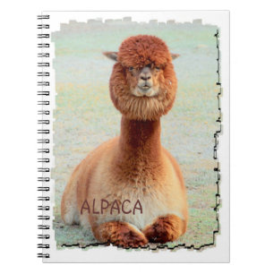 Caderno engraçado da alpaca