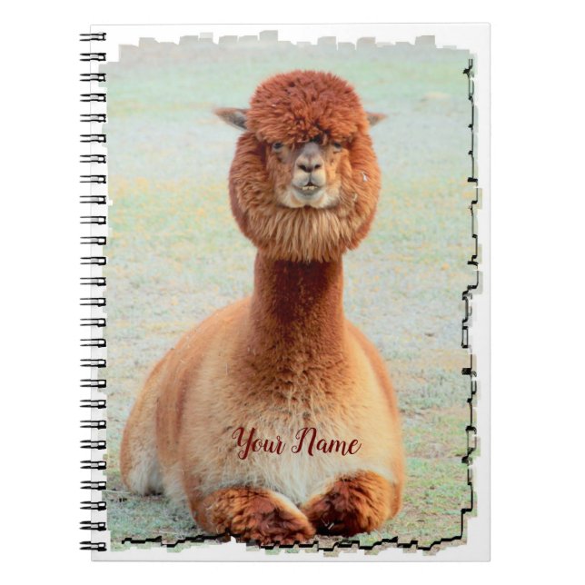 Caderno engraçado da foto da alpaca (Frente)