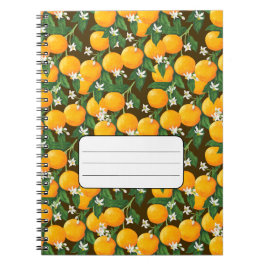 Caderno Espiral