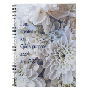 Caderno Espiral