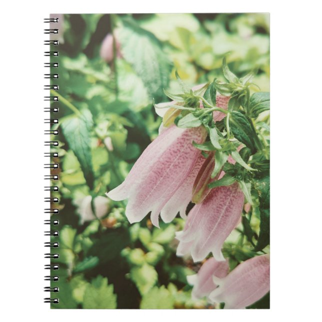 CADERNO ESPIRAL ホタルブクロ　フォトノートブック (Frente)
