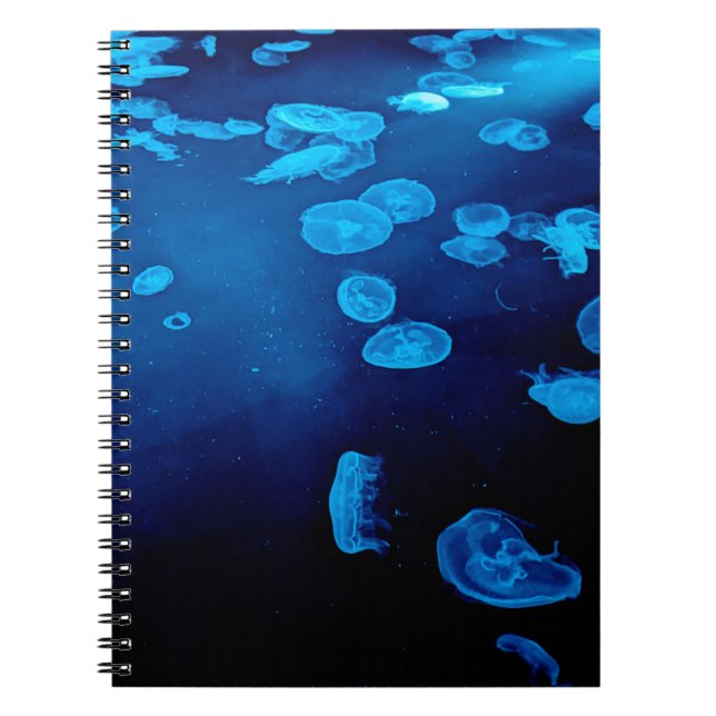 CADERNO ESPIRAL 青いクラゲ フォトリングノートブック (Frente)