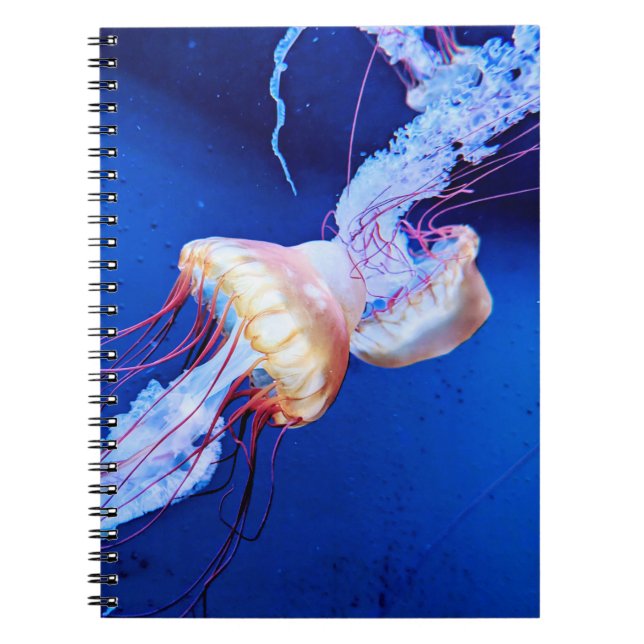 CADERNO ESPIRAL 黄色いクラゲ フォトノートブック (Frente)
