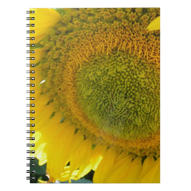 CADERNO ESPIRAL 057.JPG (Frente)