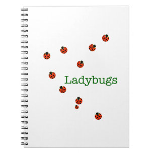 Caderno Espiral 10 joias