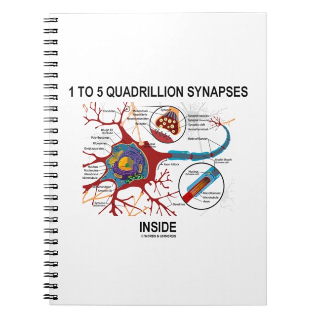 Caderno Espiral 1 A 5 quadrilhões Synapes Dentro Neuron Synapse (Frente)