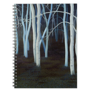 Caderno Espiral 2004 místico