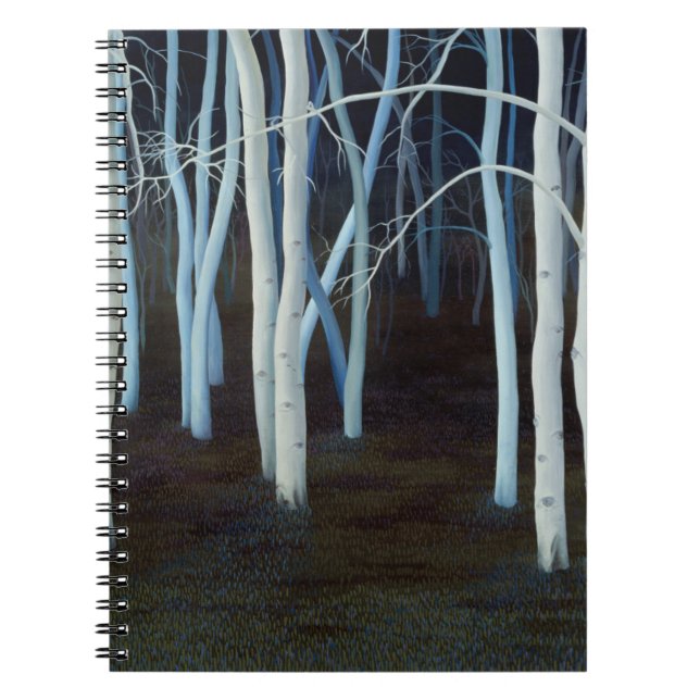 Caderno Espiral 2004 místico (Frente)