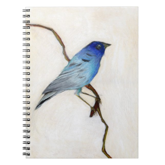 Caderno Espiral 2012 pouco azul (Frente)
