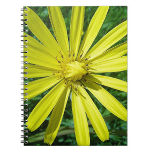 CADERNO ESPIRAL 318.JPG