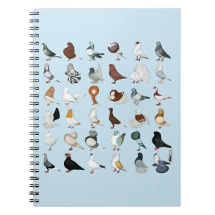Caderno Espiral 36 raças do pombo