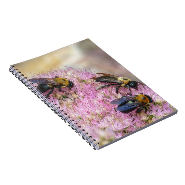 Caderno Espiral 3 Bombas (Lado Direito)