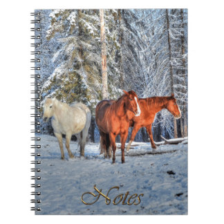 Caderno Espiral 3 Castanheiro, Cavalos Brancos e Dun Raros e Flore