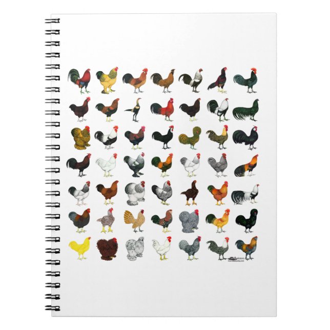 Caderno Espiral 49 Roosters (Frente)
