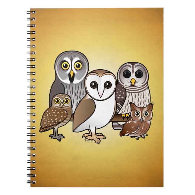 Caderno Espiral 5 corujas de Birdorable (Frente)
