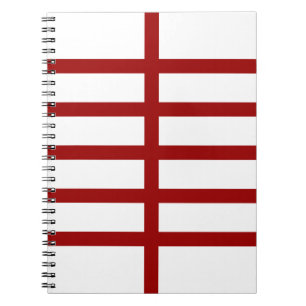 Caderno Espiral 5 Linhas Vermelhas Bisectadas