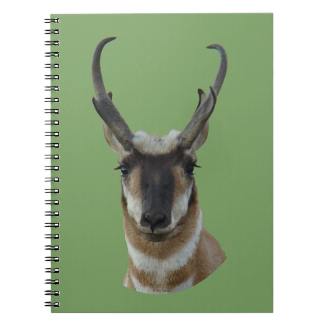 Caderno Espiral A19 Pronghorn Antelope Dark Face Buck Head Shot (Frente)