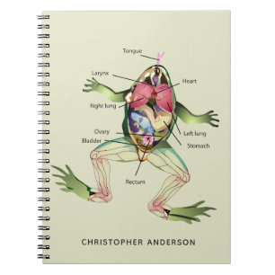 Caderno Espiral A Anatomia do Sapo personaliza