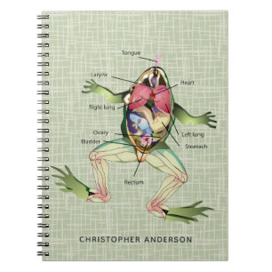 Caderno Espiral A Anatomia do Sapo Personalizada