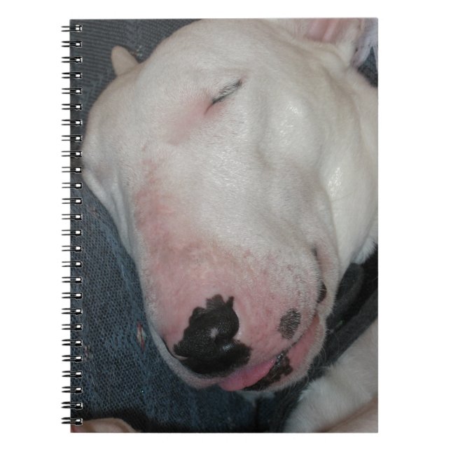 Caderno Espiral A boa noite, dorme firmemente, cão parvo (Frente)