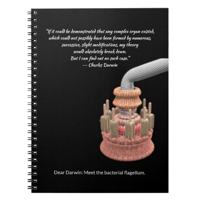 Caderno Espiral A Concessão de Darwin e o Flagelo Bacteriano (Frente)